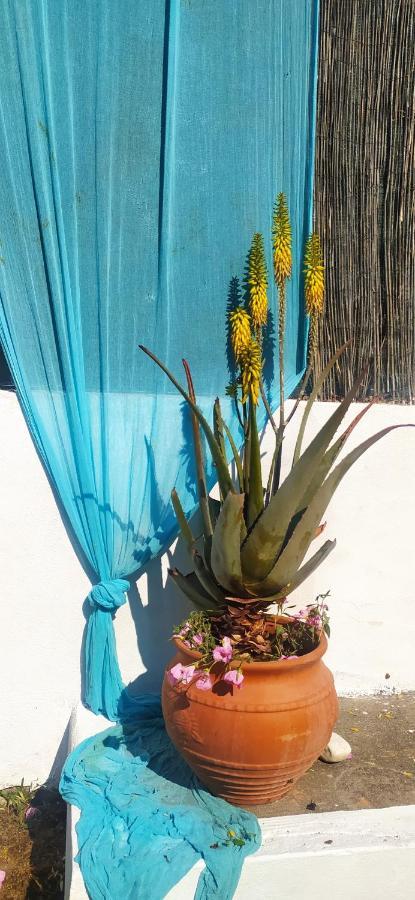 Amaryllis Sweet Home ปีร์กอส ภายนอก รูปภาพ